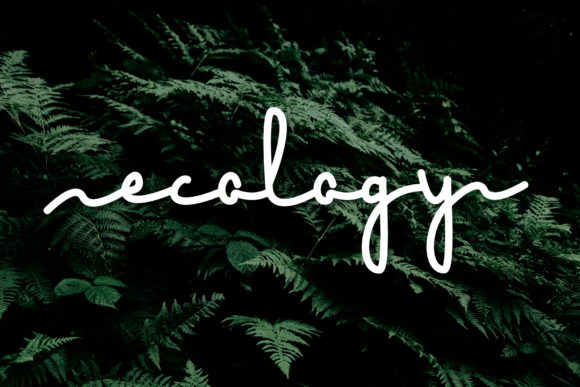 Ecology: A Minimal Handwritten Font for Modern Branding