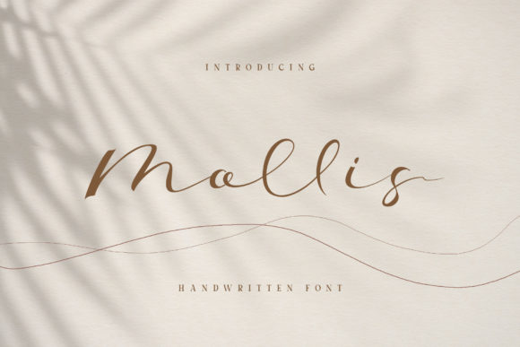 Mollis: A Modern Script Font for Editorial Design