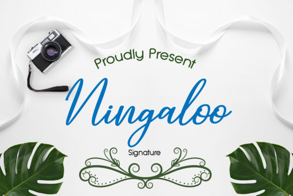 Ningaloo: The Elegant Handwritten Font for Small Business Branding